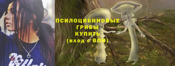 2c-b Бронницы