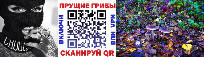 Галлюциногенные грибы мухоморы  Купить  Ковылкино 